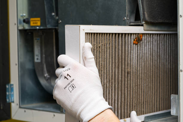 Best Emergency Air Duct Cleaning  in Center Line, MI